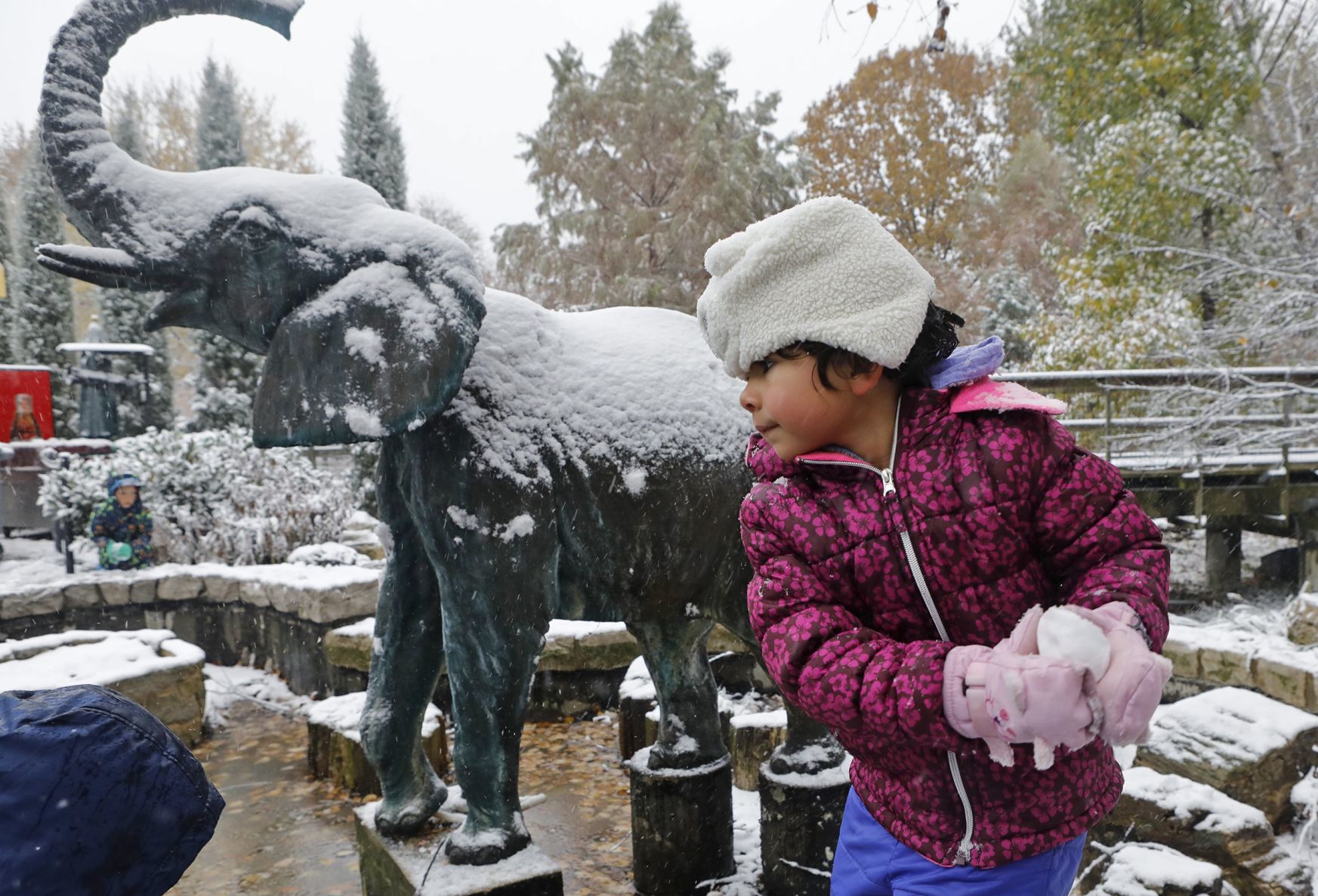 First snow covers the Zoo